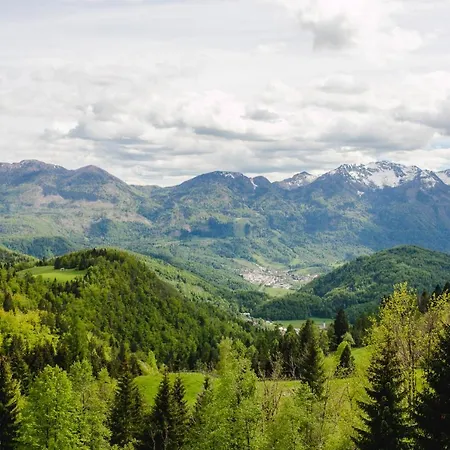 Wood House Irena-pocitniska Hisa בית נופש בוהין