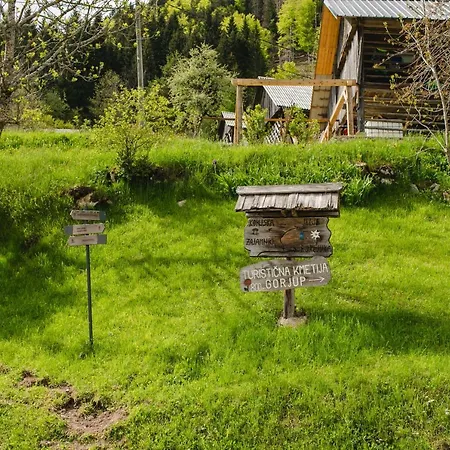 Wood House Irena-pocitniska Hisa בוהין