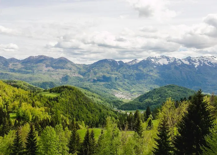 Wood House Irena-pocitniska Hisa בית נופש בוהין