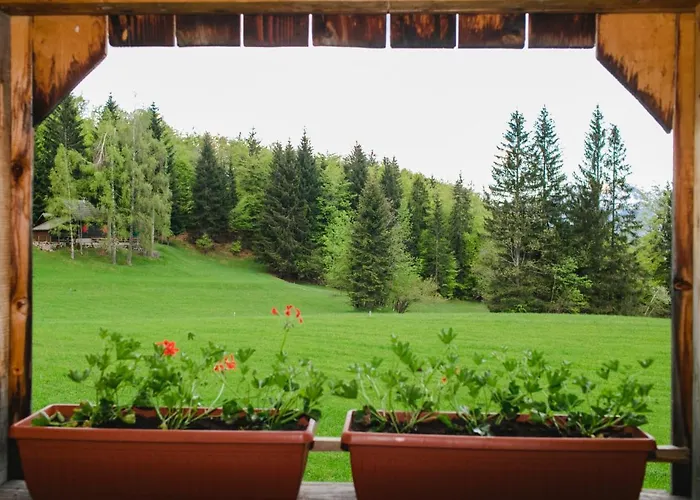 Wood House Irena-pocitniska Hisa * Bohinj