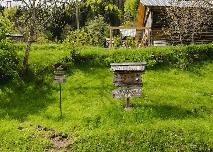 Wood House Irena-pocitniska Hisa בוהין